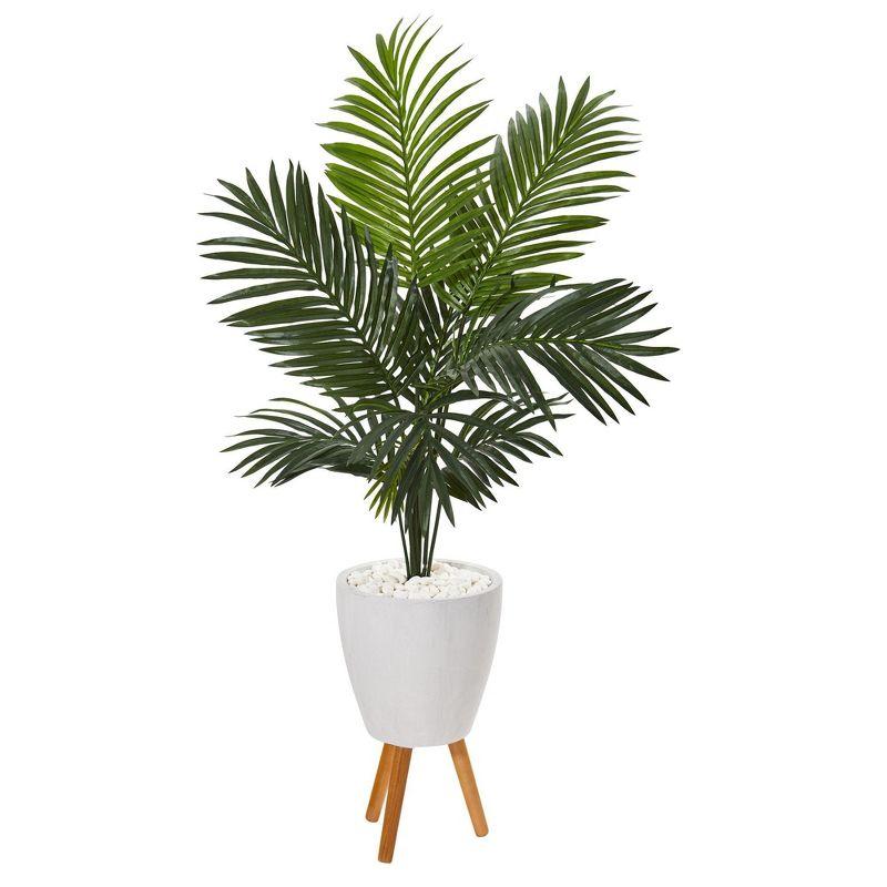 61'' Green Paradise Palm in White Planter with Wooden Stand