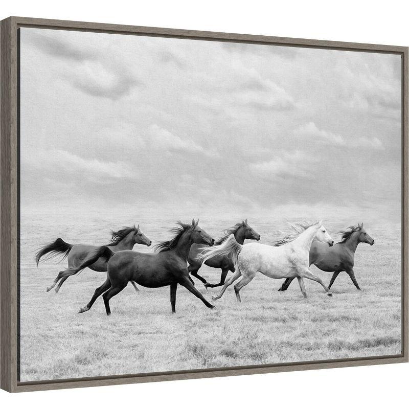 24" x 18" Black and White Horse Run Framed Canvas Print