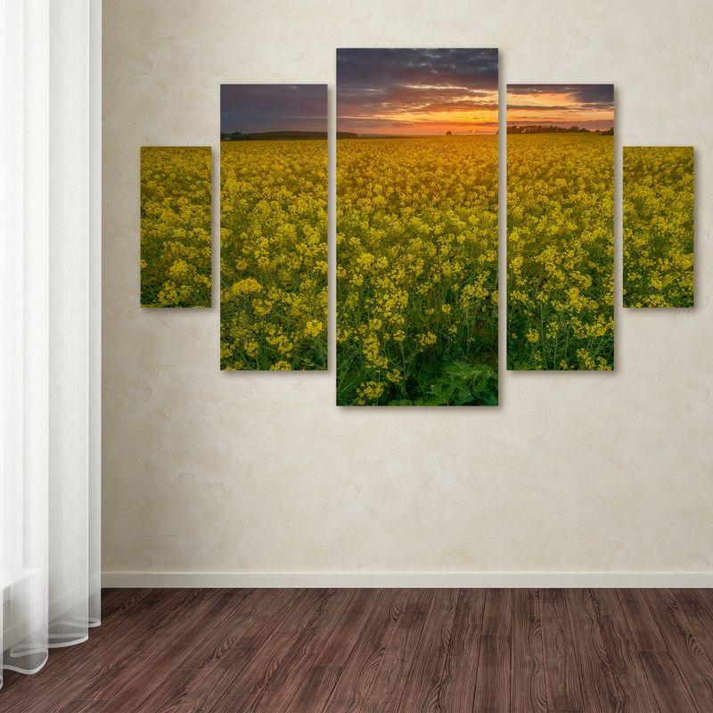 Yellow Sunset Field Multi Panel Canvas Art Set