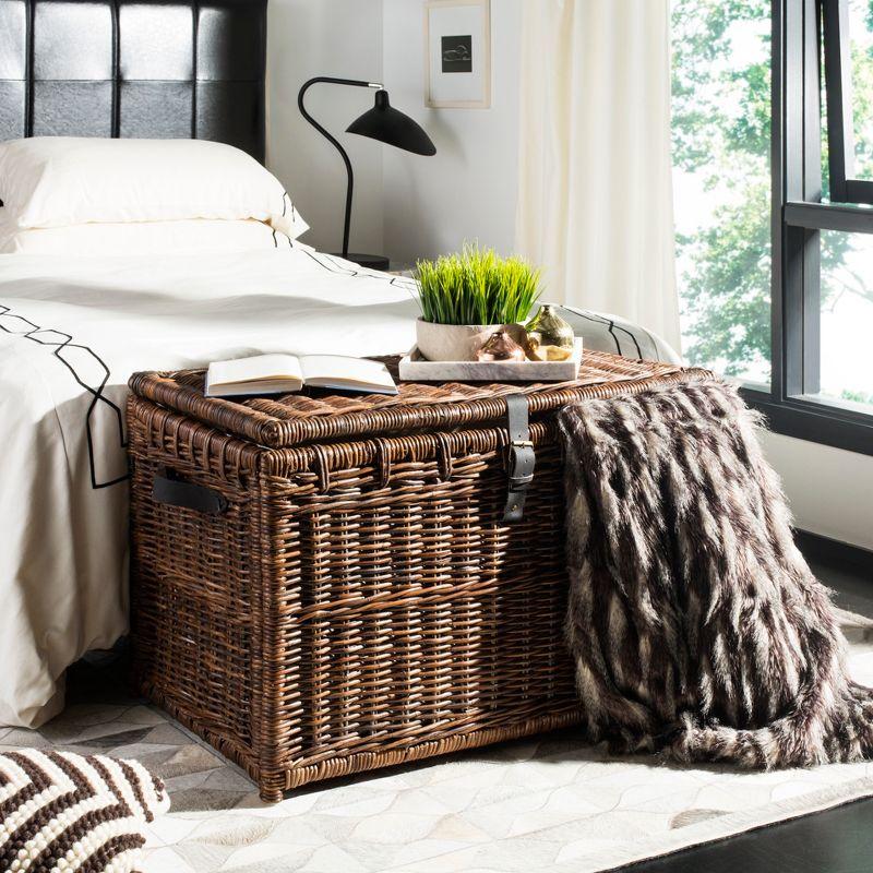 happimess Caden Wicker Trunk & Reviews | Wayfair