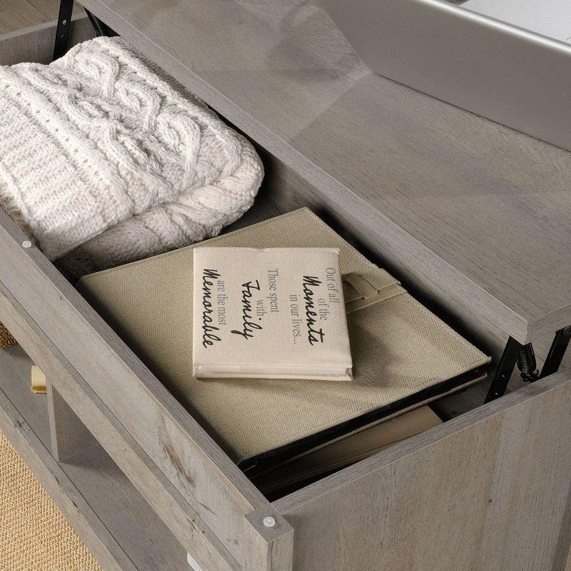 Sauder Modern Lift-top Coffee Table