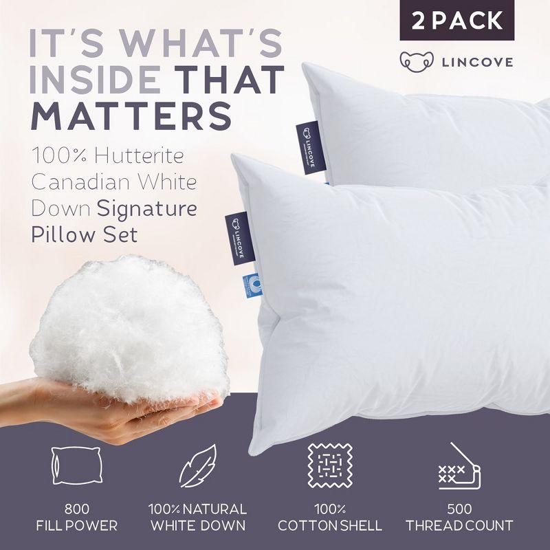Lincove Signature 100% Canadian Down Luxury Sleeping Pillow - 800 Fill Power, 500 Thread Count Cotton Shell, Standard - Soft, 2 Pack