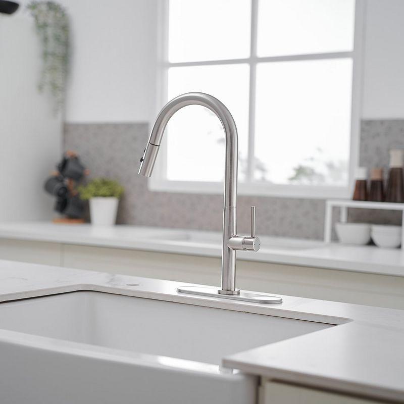 VIBRANTBATH Pull Out Kitchen Faucet