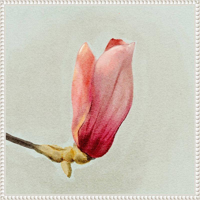 Amanti Art Magnolia Bud I by Katie Oshea Framed Wall Art Print