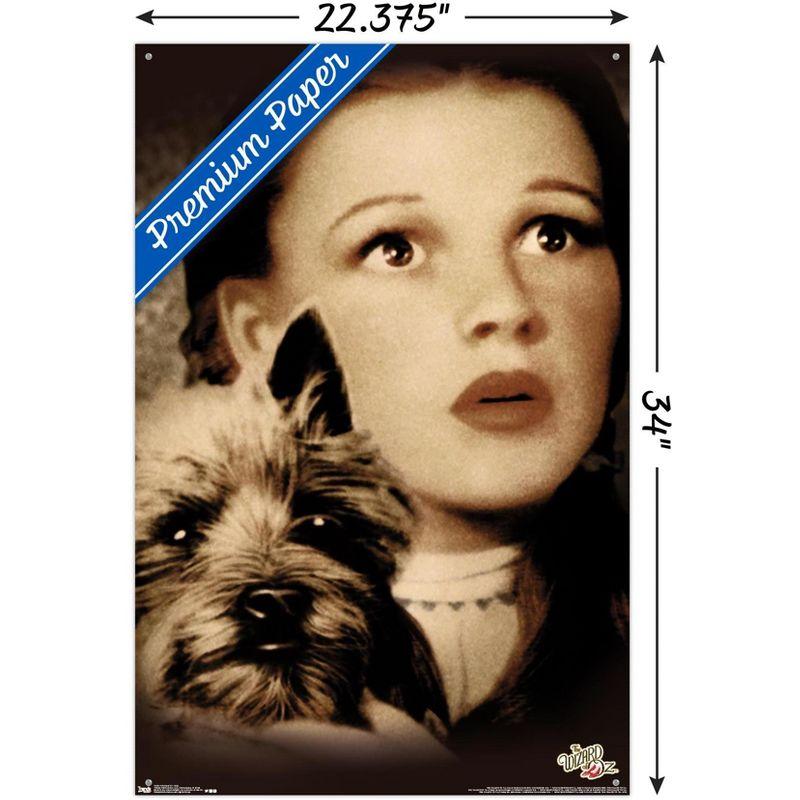 Trends International The Wizard Of Oz - Duo Unframed Wall Poster Print Clear Push Pins Bundle 22.375" x 34"