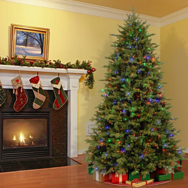 Prelit PowerConnect Princeton Fraser Fir Artificial Christmas Tree Dual Color Lights - National Tree Company