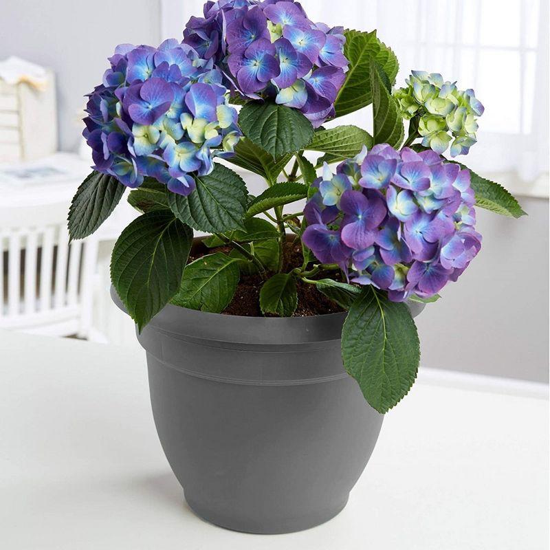 Ariana Traditional Self-Watering Indoor/Outdoor Pot Planter