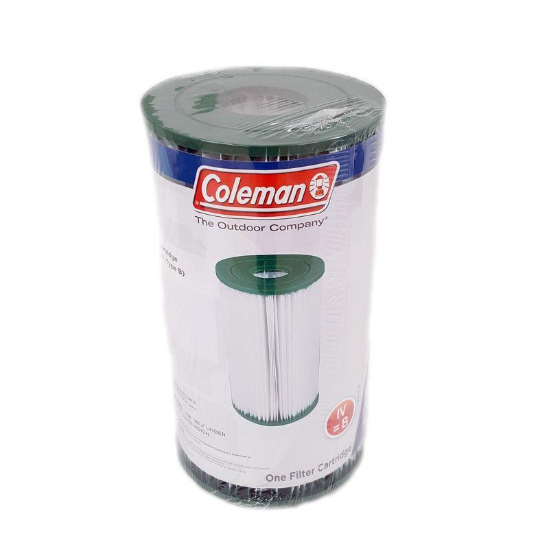 Coleman 90358E Type IV/Type B Swimming Pool Filter Pump Replacement Cartridges for 2,500 Gallons Per Hour Filter Pumps (2 Pack)