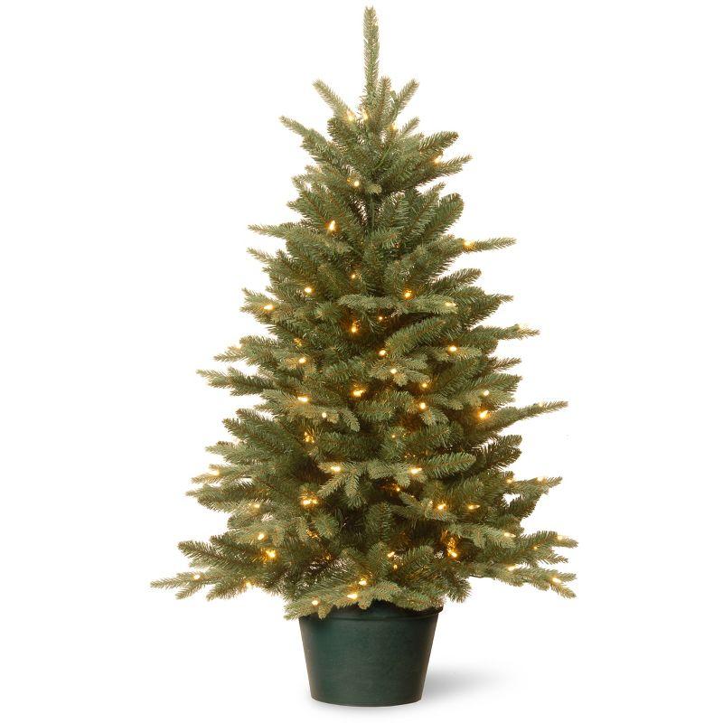 The Holiday Aisle® 3ft. Everyday Collection Potted Evergreen Tree with Clear Lights