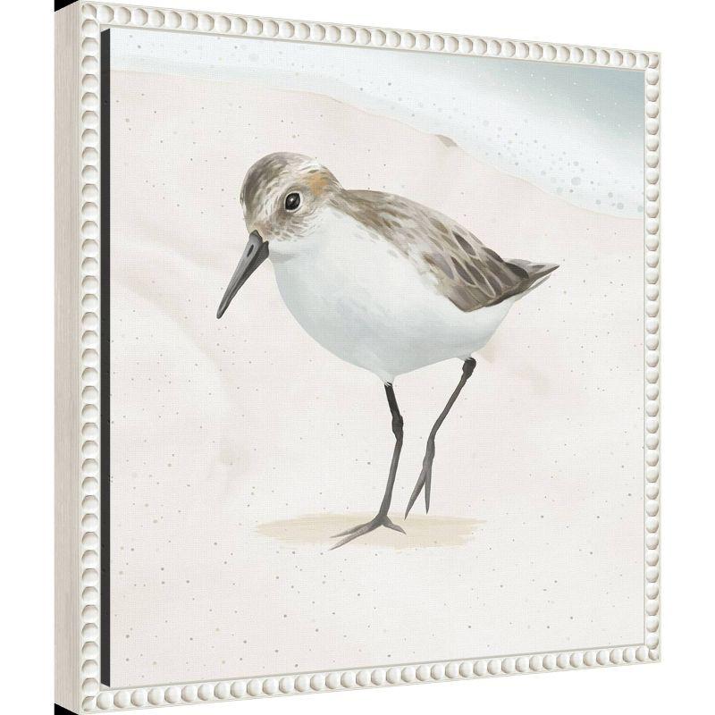 Amanti Art 16"x16" Sandpiper on The Beach II by Lucca Sheppard Framed Canvas Wall Art Print: Modern Coastal Wall Canvases, Earth Tones Decor