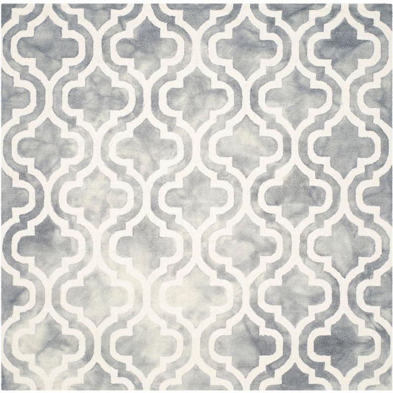 Dip Dye DDY537 Hand Tufted Area Rug  - Safavieh