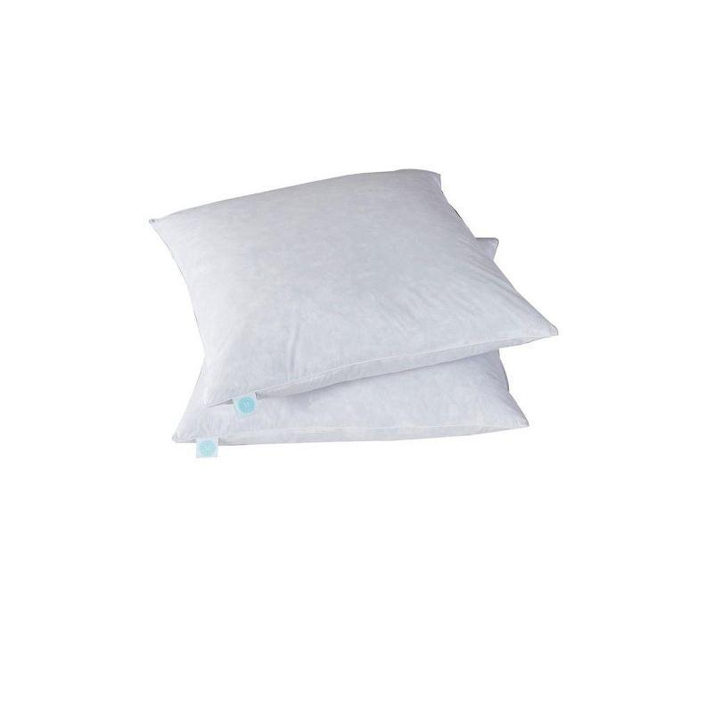 Euro 26x26 White Cotton Feather Firm Pillow Set