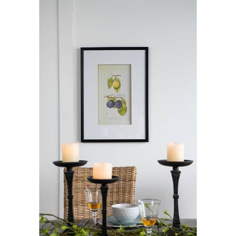 Set of 2 Smithsonian Fruit Framed Wall Arts - A&B Home: Transitional Decor, Vertical Orientation, Includes Mounting Hardware