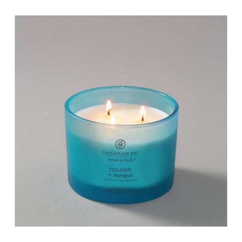 Frosted Glass Nourish + Renew Lidded Jar Candle Light Blue - Mind & Body by Chesapeake Bay Candle