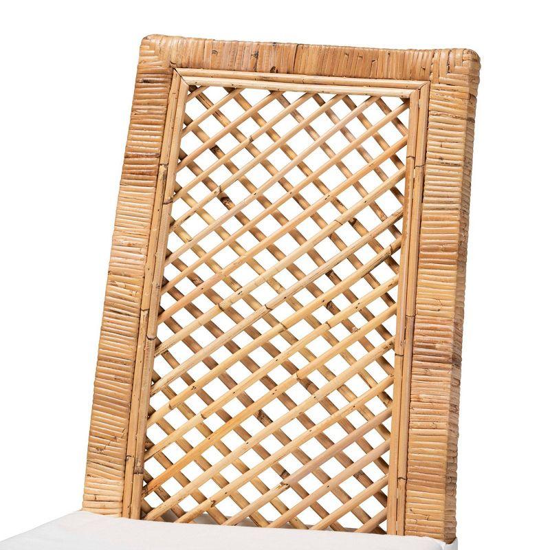 Bayou Breeze Argos Modern Bohemian Rattan Dining Chair (Set of 2)
