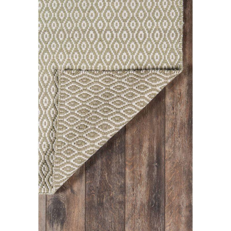 Newton Davis Hand Woven Recycled Plastic Indoor/Outdoor Rug Green - Erin Gates by Momeni