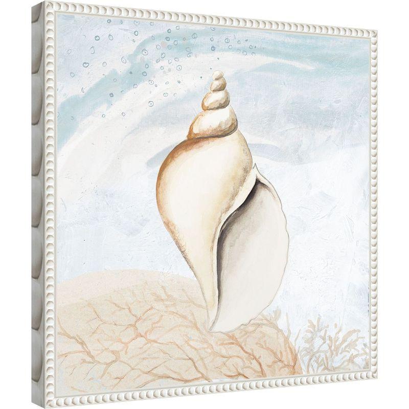 Amanti Art Ocean Oasis Tropical Seashell I by Patricia Pinto Canvas Wall Art Print Framed 16 x 16-in.