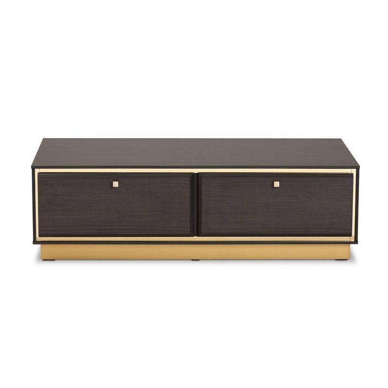 Modern Glamour Dark Brown Wood and Gold Metal Storage Coffee Table