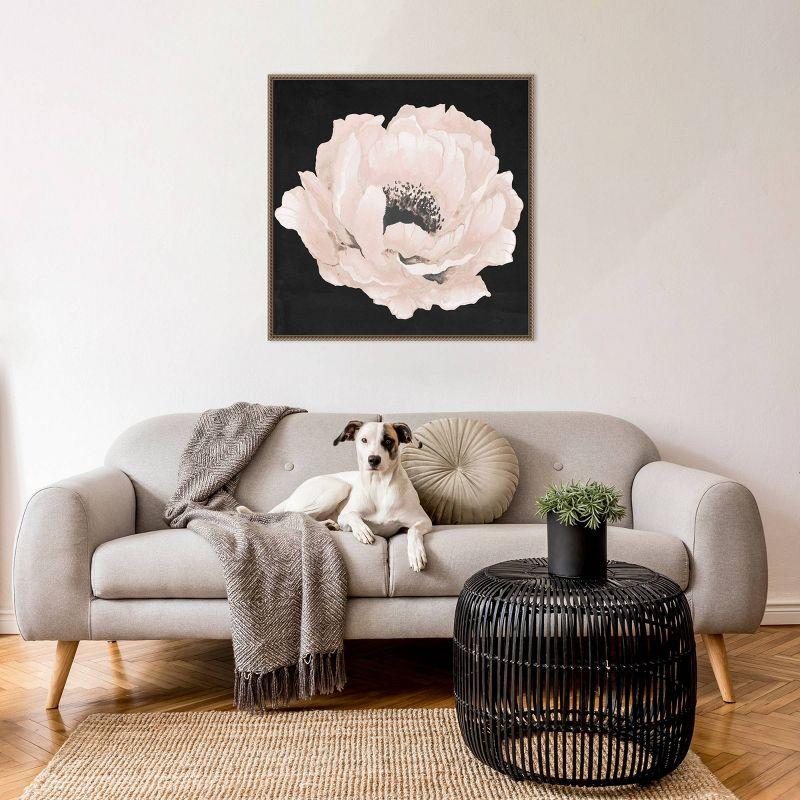 30"x30" Pink Flower on Black II by Elizabeth Medley Framed Canvas Wall Art Print Bronze - Amanti Art: Modern Botanical Lithograph