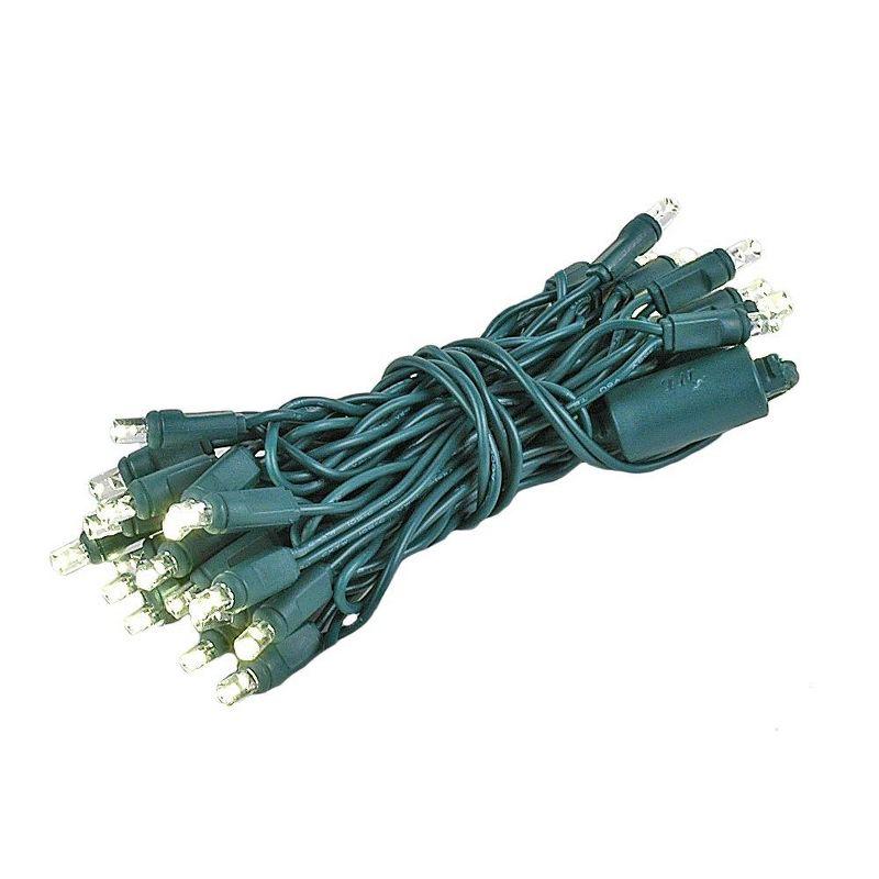 Warm White LED Christmas Curtain Lights with Green Wire