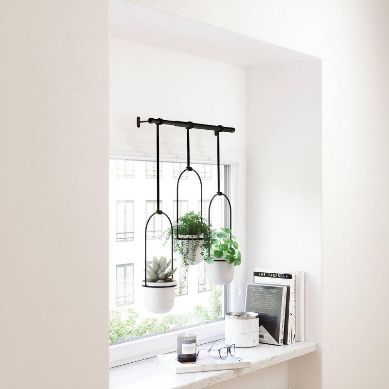 Tri-Flora Hanging Planter