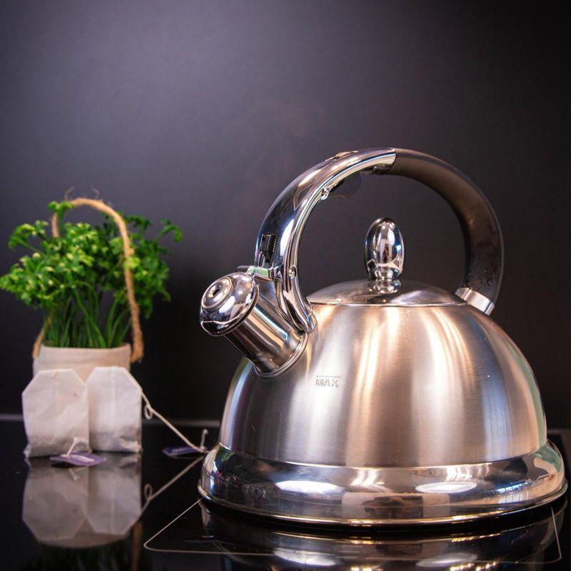 Stainless Steel Whistling Stovetop Water Kettle, 2.85 Quarts