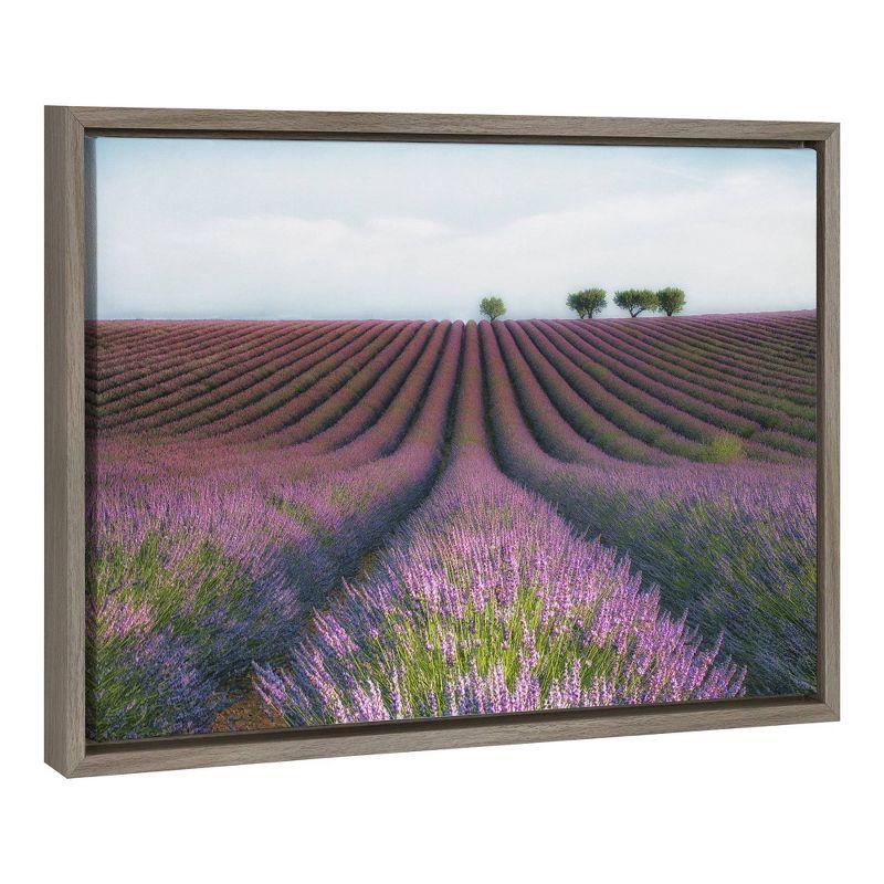 23" x 16" Velours de Lavender Framed Canvas Wall Art - Amanti Art: Horizontal Lavender Field Print