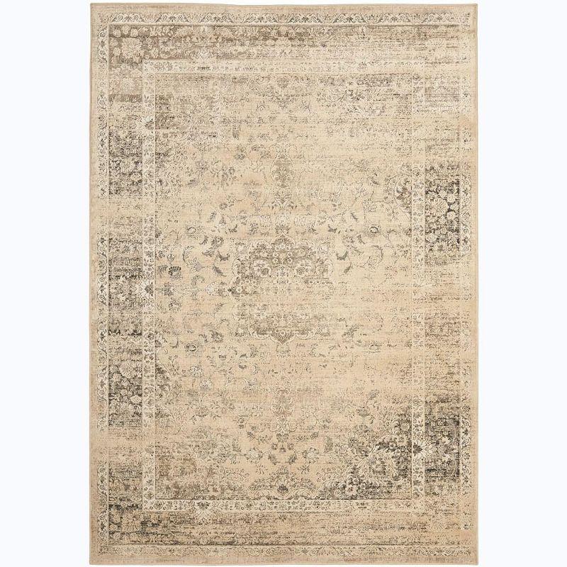Vintage VTG113 Power Loomed Indoor Area Rug - Warm Beige - 10'x14' - Safavieh.
