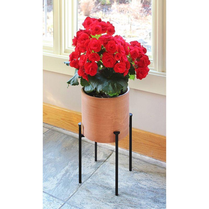 Eileen Black Wrought Iron Minimalist Plant Stand