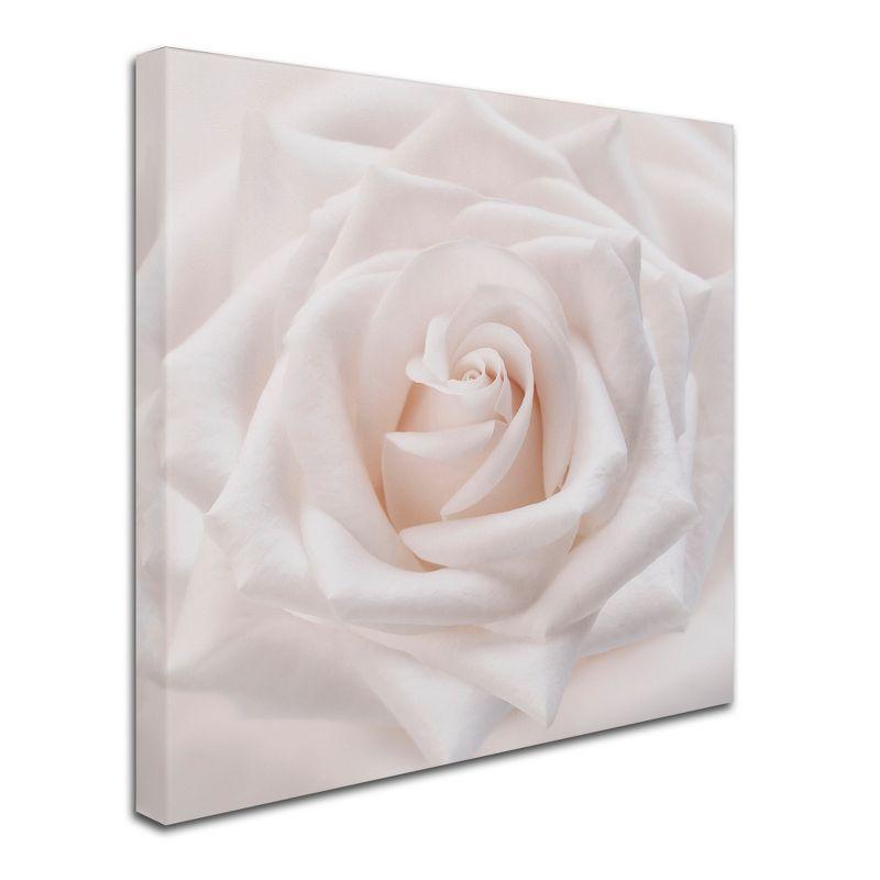 Soft White Rose Abstract Framed Canvas Art 24" x 24"