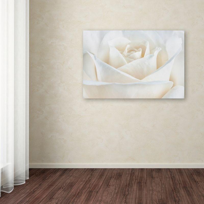 Trademark Fine Art -Cora Niele 'Pure White Rose' Canvas Art