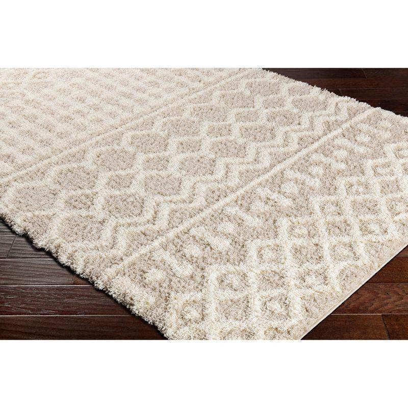 Livabliss 2'7"x5' Pinnacle Shag Global Rug Cream: High Pile, Stain & Fade-Resistant, Traditional Style