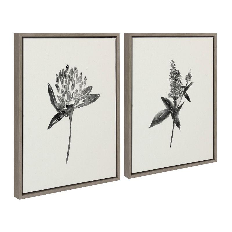 (Set of 2) 18" x 24" Sylvie Vintage Botanical 1 and 2 Framed Canvas - Kate & Laurel All Things Decor