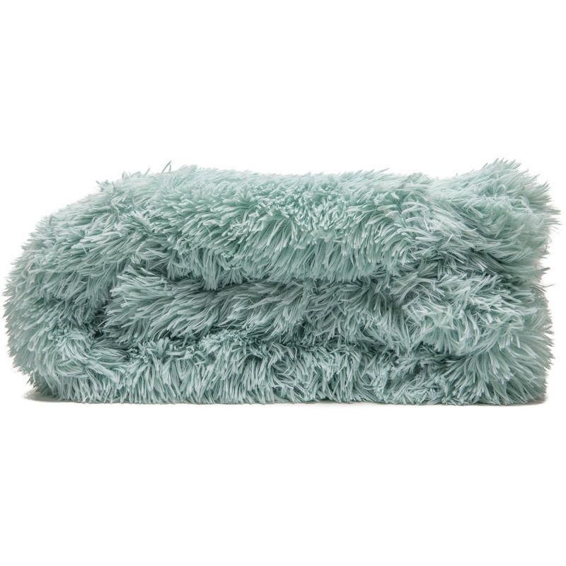 Chanasya Shaggy Shaggy Super Elegent Sherpa Long Fur Throw