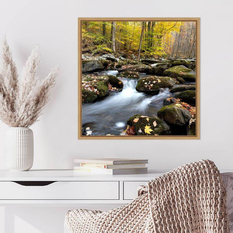 Amanti Art Autumn Rush by Danny Head Framed Canvas Wall Art Print