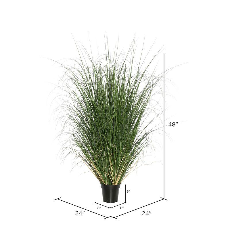 Vickerman 48" Artificial Potted Green Curled Grass. In a 6"Lx6"Wx5"H base.
