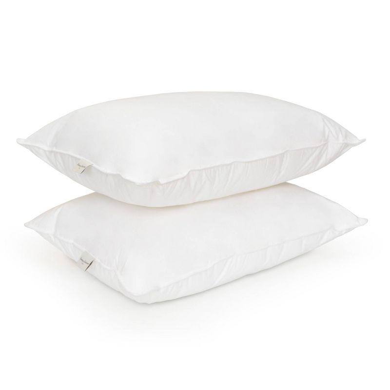 Queen White Hypoallergenic Polyester Down Alternative Pillow Set