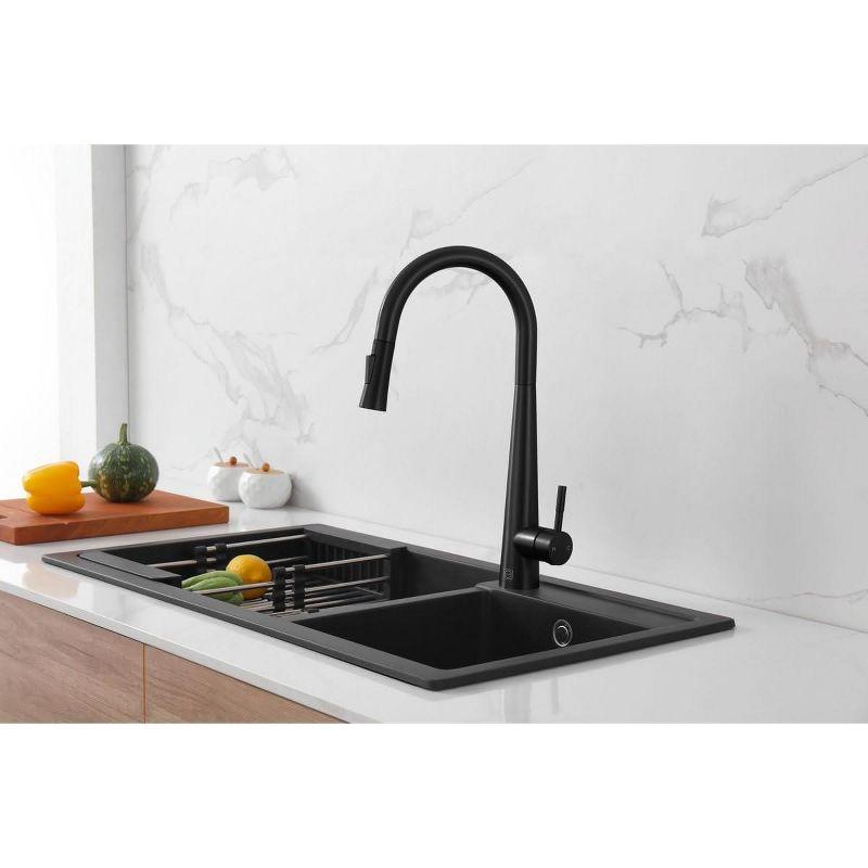 Elegant Lighting Lucas Pull Down Spray Kitchen Faucet