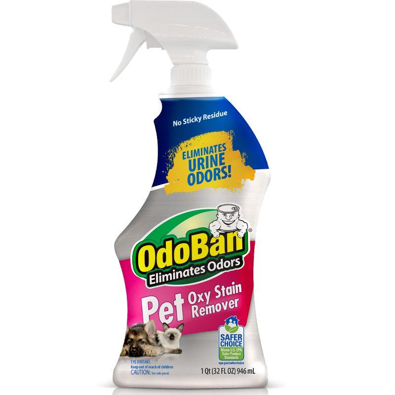 Oxy Stain Remover Spray for Pet Stains, 32 oz