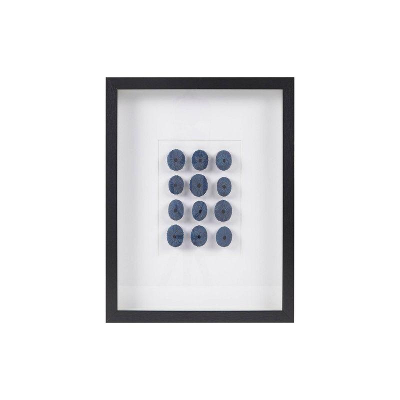 Indigo Shells Real Natural Sea Urchin Framed Shadowbox Blue - Martha Stewart