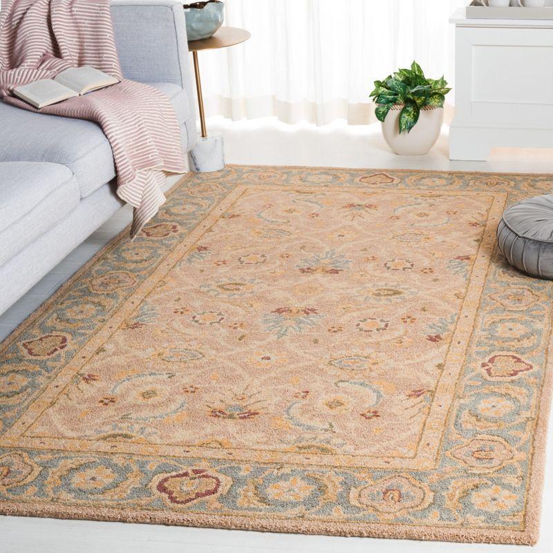 Anatolia AN549 Hand Tufted Indoor Accent Rug - Brown/Blue - 3'x5' - Safavieh