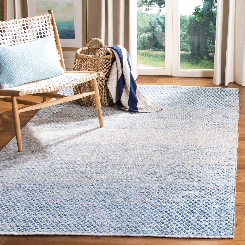 Montauk MTK601 Hand Woven Indoor Rug - Safavieh