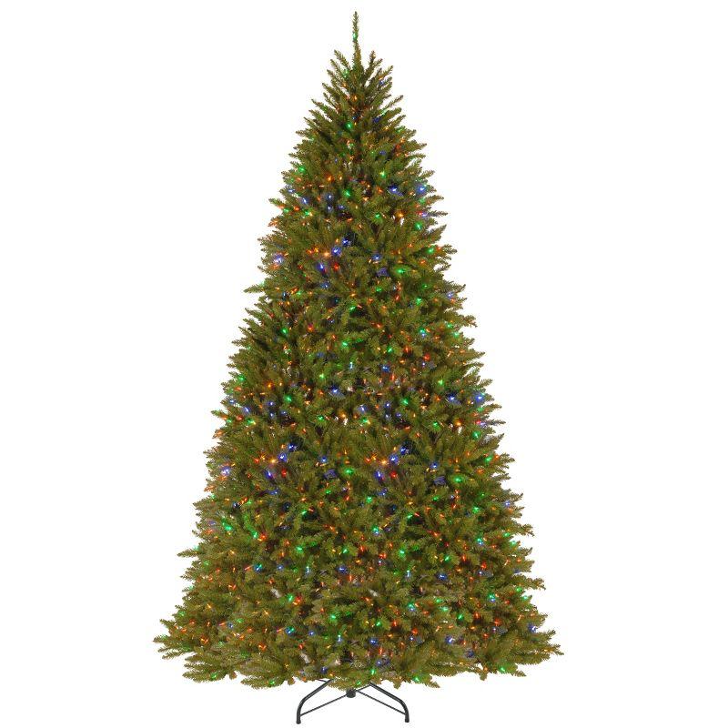 10' Prelit PowerConnect Dunhill Fir Artificial Christmas Tree Dual Color Lights - National Tree Company