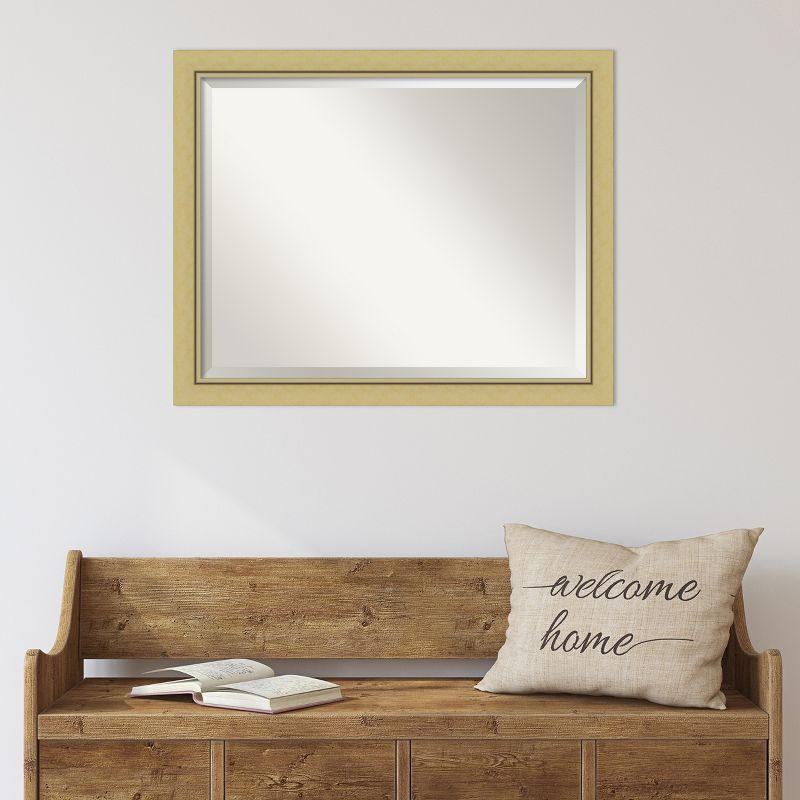 Landon Gold Narrow Framed Decorative Wall Mirror