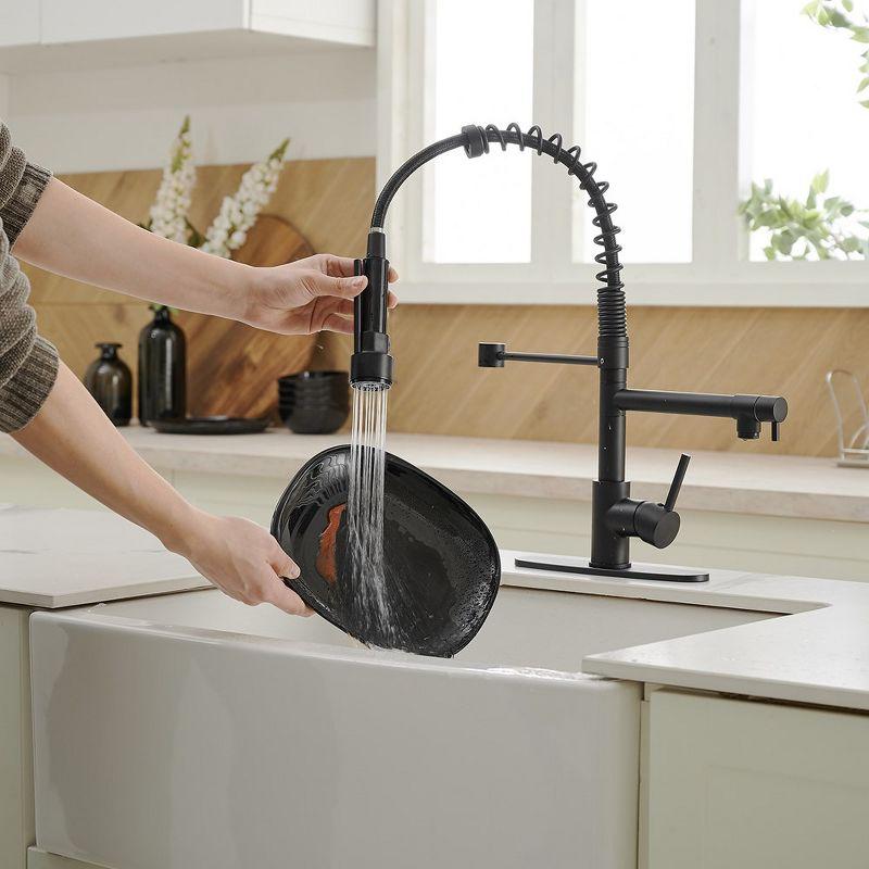 Single-Handle Pull-Down Sprayer 2 Spray High Arc Kitchen Faucet With Deck Plate