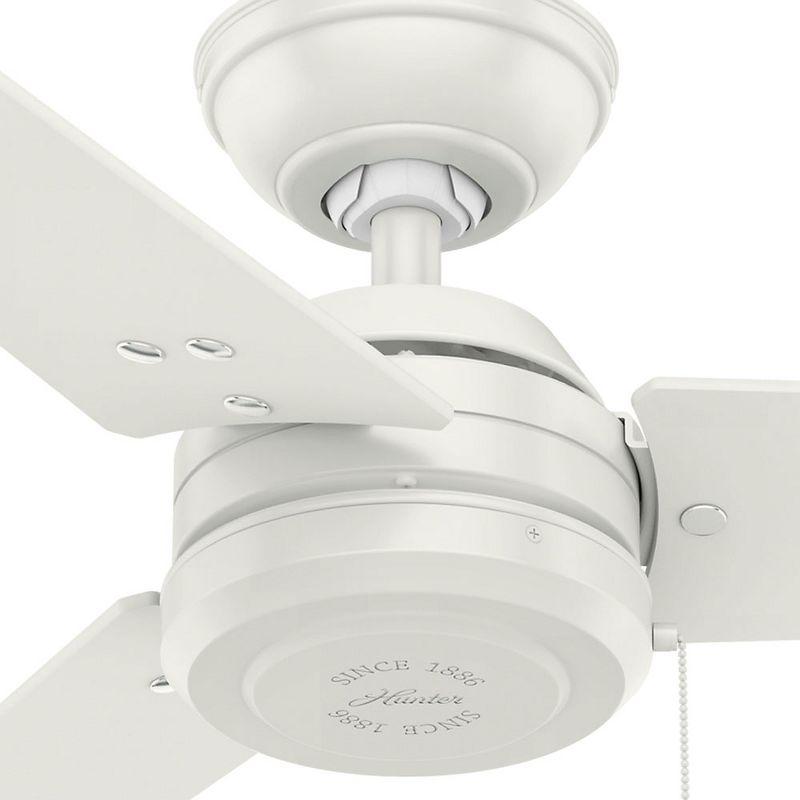 52" Cassius 3 - Blade Outdoor Standard Ceiling Fan with Pull Chain