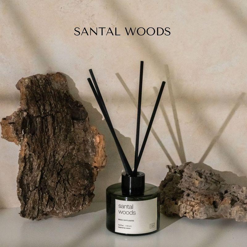 Craft & Kin Reed Diffuser Set For Home