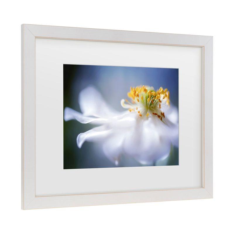 Trademark Fine Art - Mandy Disher Anemone 1 Matted Framed Art