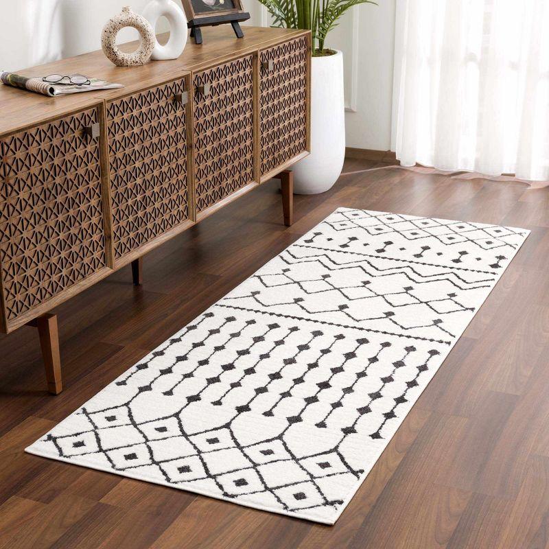 Hauteloom Runner Area Rug   Black
