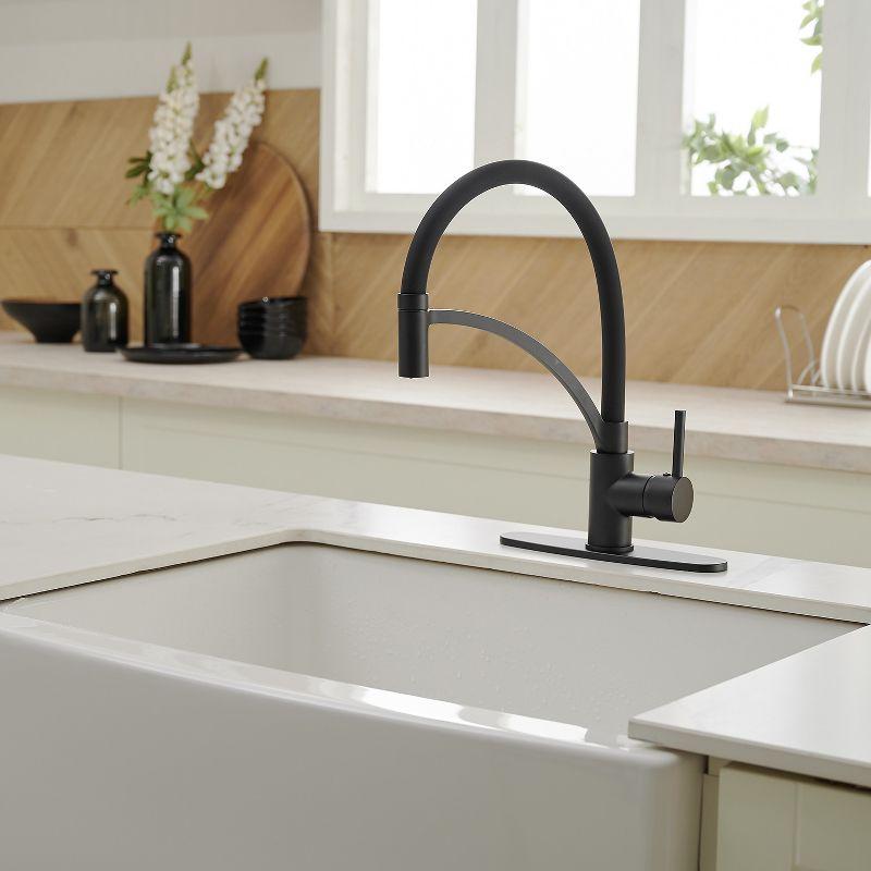 Pull Down Single Handle Kitchen Faucet with Accessories